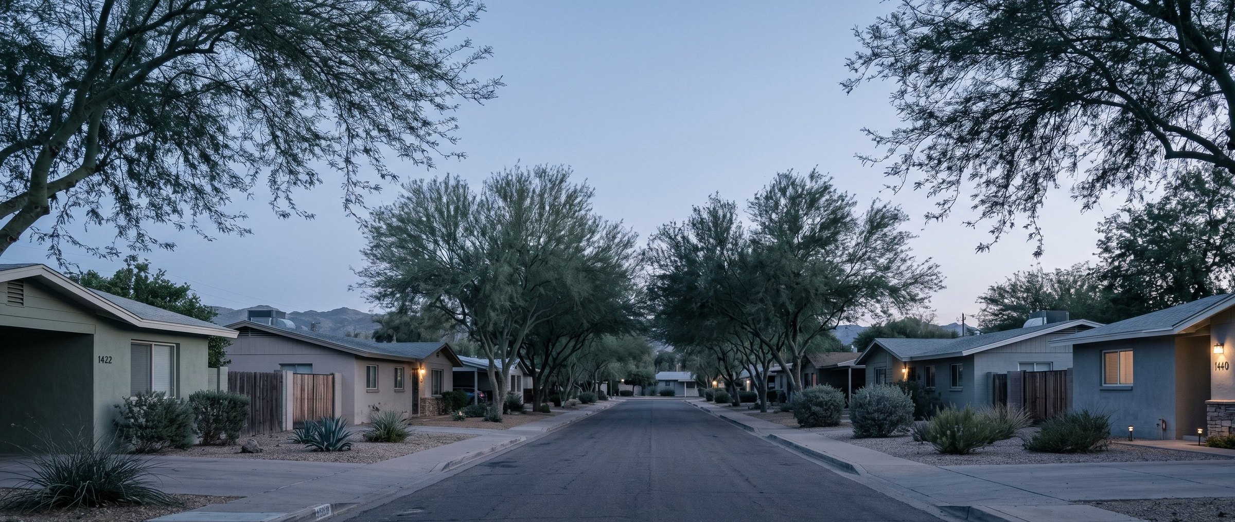 A quiet residential street in a mature Phoenix Valley neighborhood at blue hour, with palo verde canopy and warm porch lights against the cool evening sky